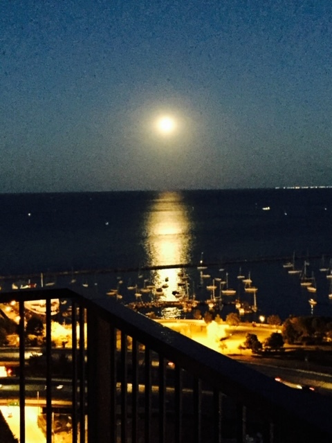 400 E RANDOLPH St #3905 Chicago, IL 60601