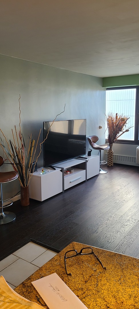 6030 N SHERIDAN Rd #510 Chicago, IL 60660