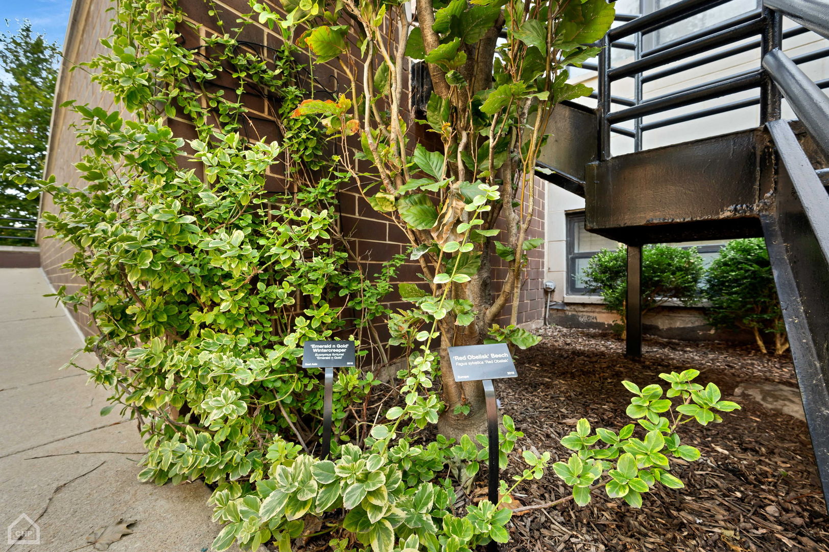 4235 S Calumet Ave Chicago, IL 60653