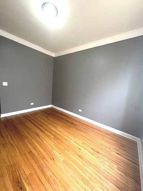 6948 S Dorchester Ave #2 Chicago, IL 60637