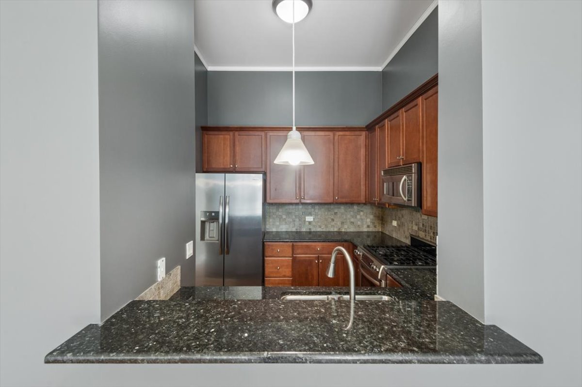 450 E Waterside Dr #206 Chicago, IL 60601