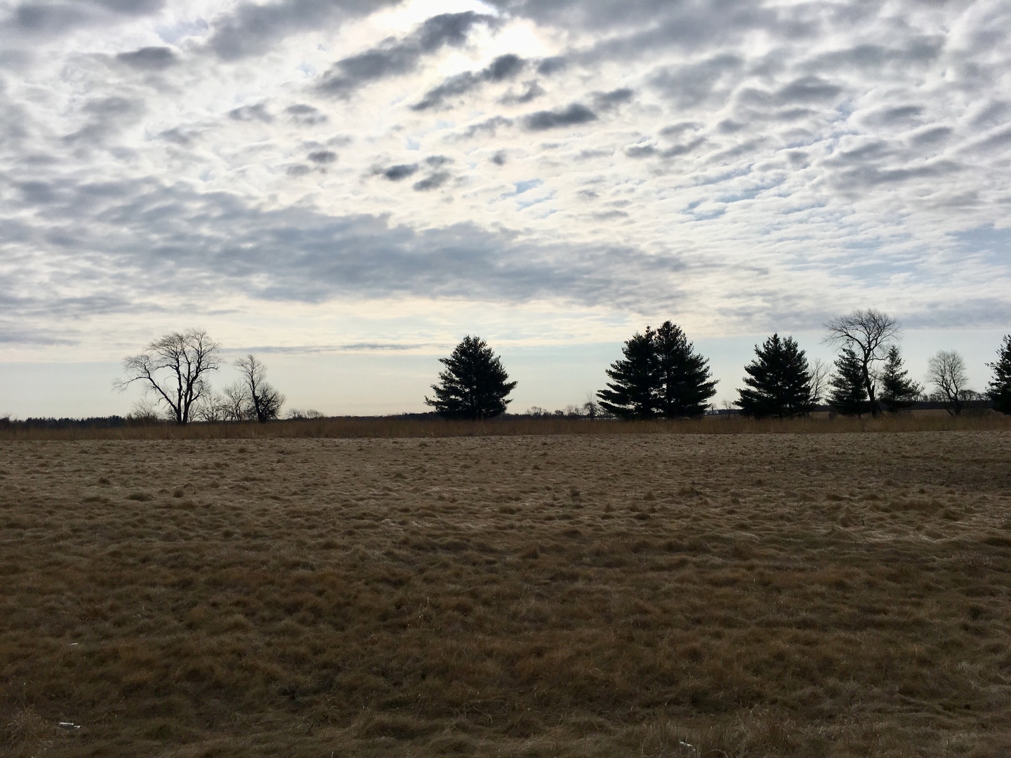 Lot #51 E LONGWOOD Dr Woodstock, IL 60098