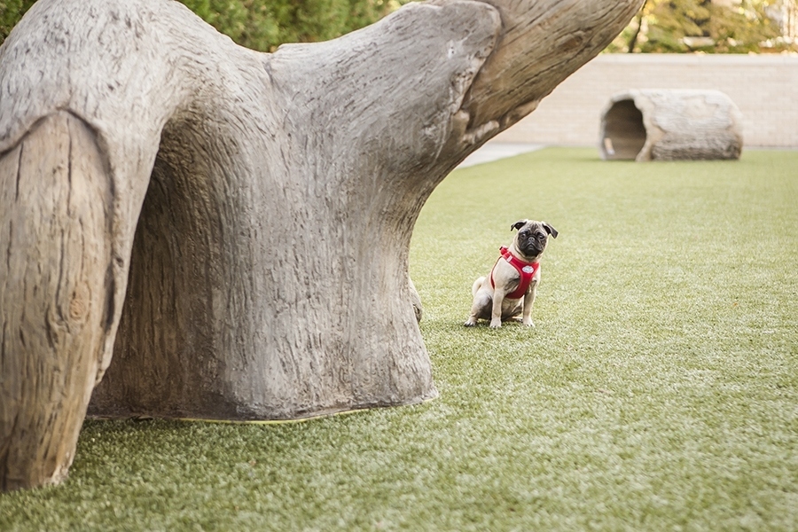 2550 N Lakeview Ave #N602 Chicago, IL 60614