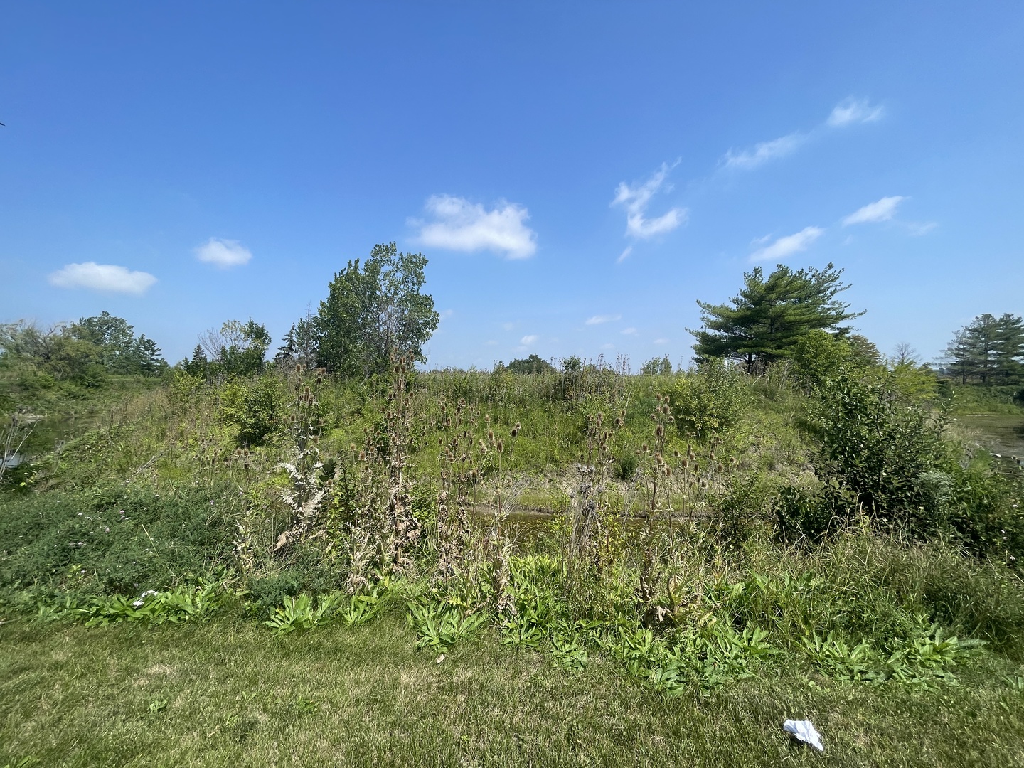 19099 Hickory Crk Dr Mokena, IL 60448