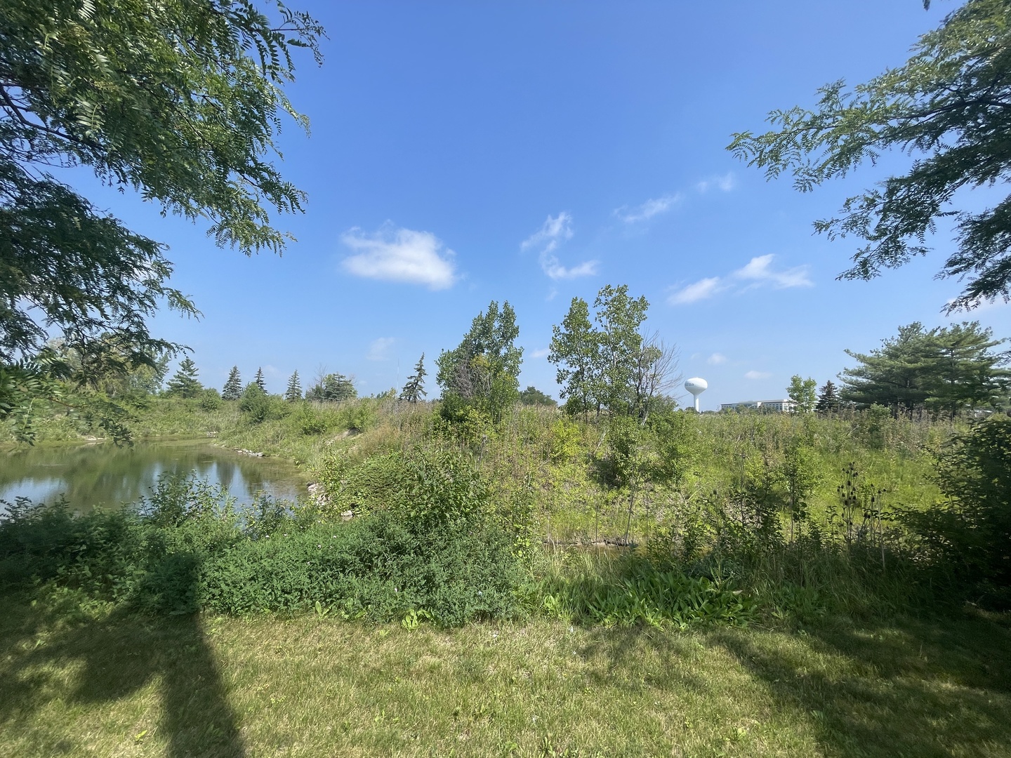 19099 Hickory Crk Dr Mokena, IL 60448