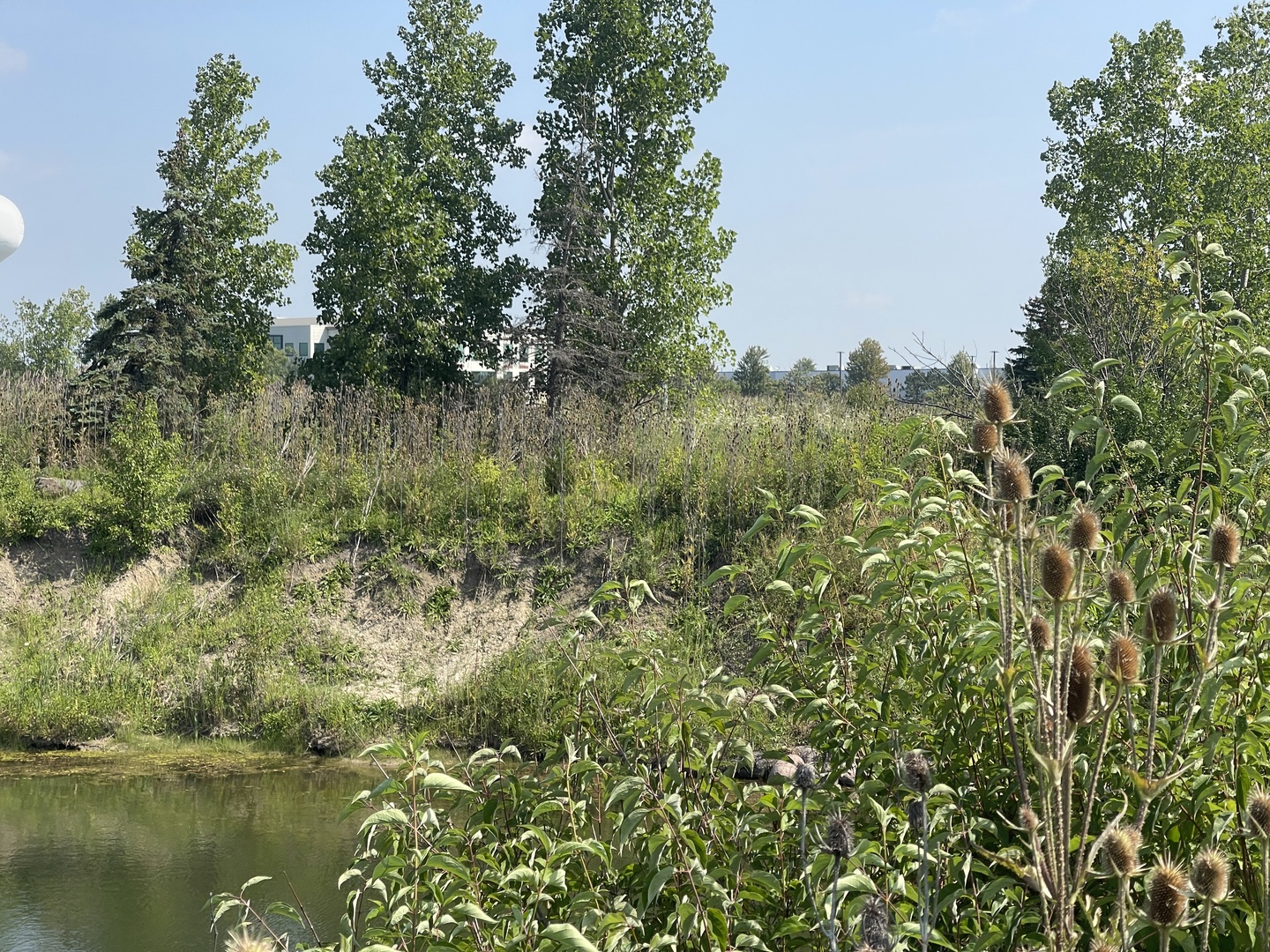 19099 Hickory Crk Dr Mokena, IL 60448