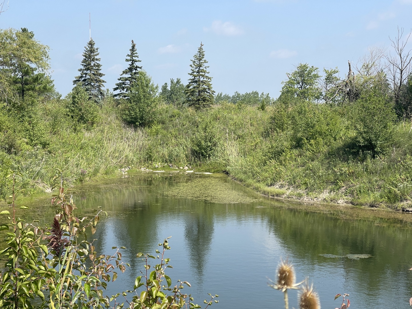 19099 Hickory Crk Dr Mokena, IL 60448