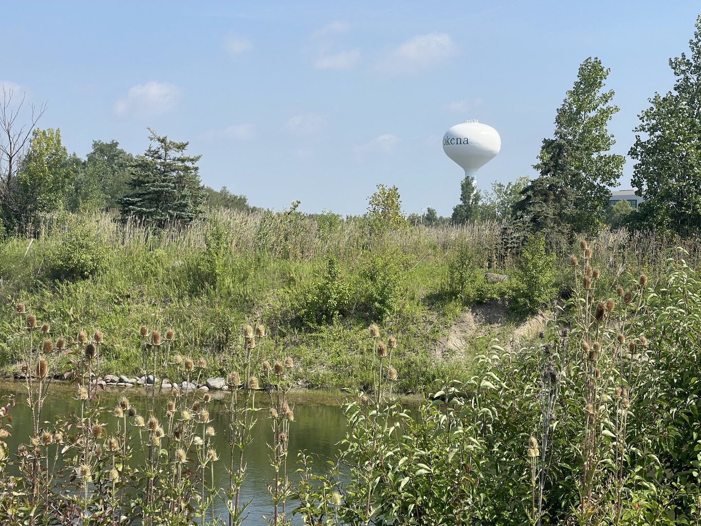 19099 Hickory Crk Dr Mokena, IL 60448