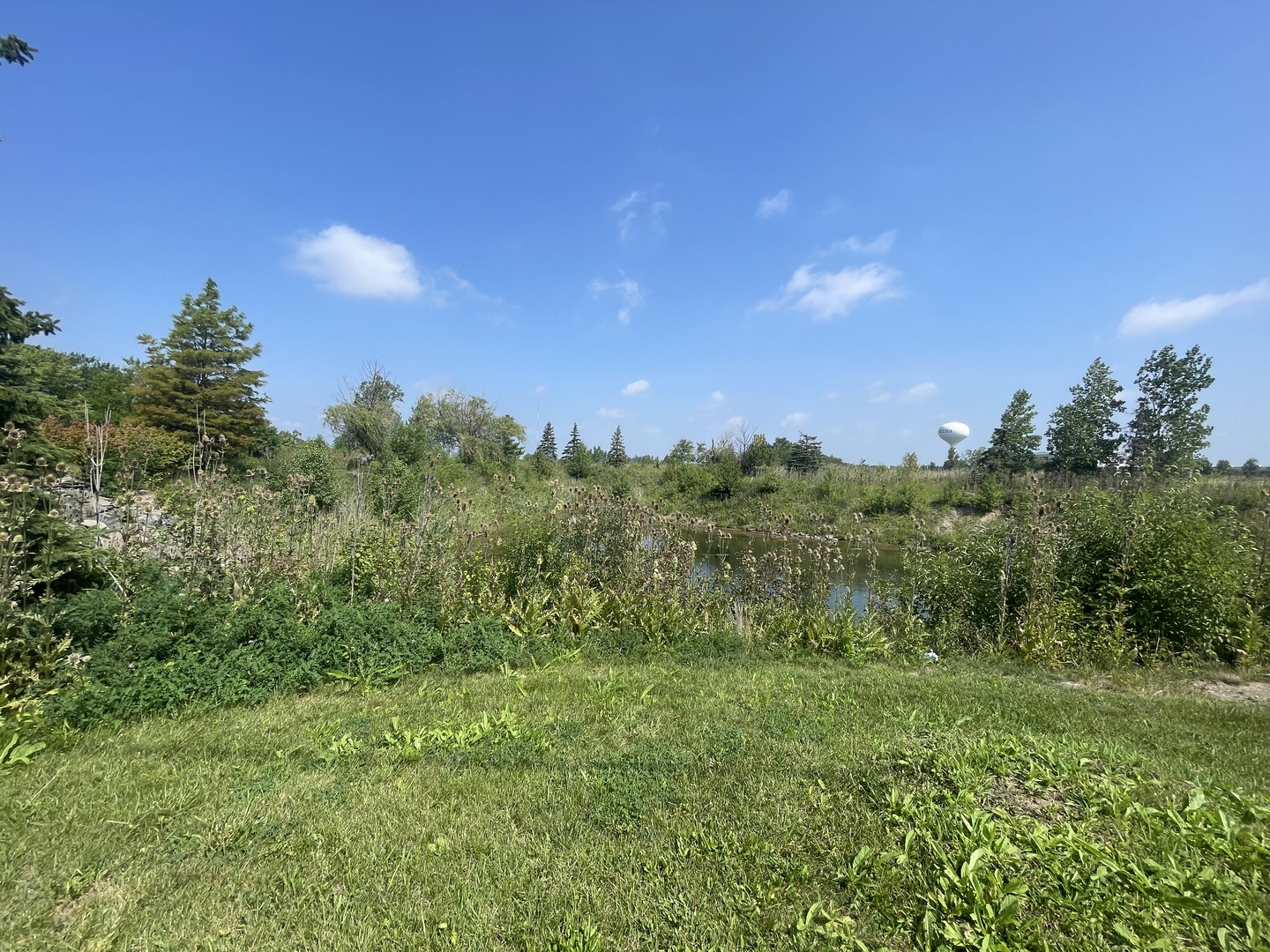 19099 Hickory Crk Dr Mokena, IL 60448