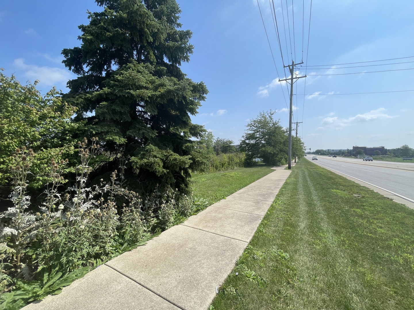 19099 Hickory Crk Dr Mokena, IL 60448