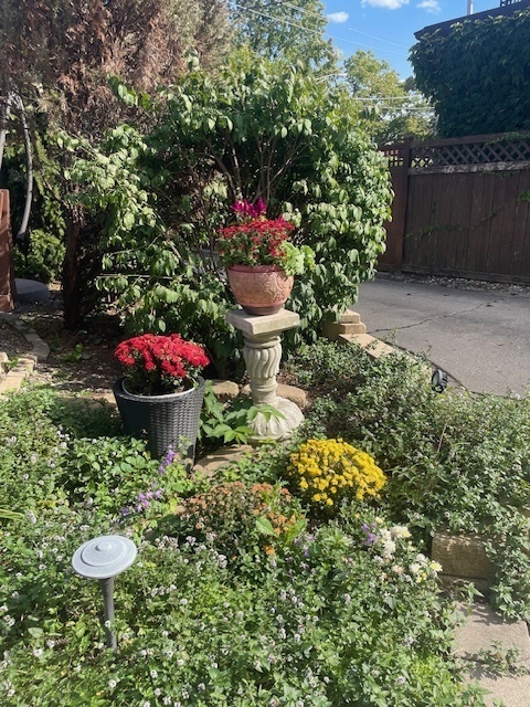 1104 Fair Oaks Ave Oak Park, IL 60302