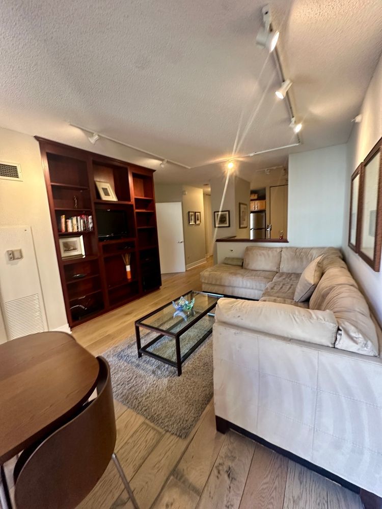 222 N COLUMBUS Dr #1407 Chicago, IL 60601