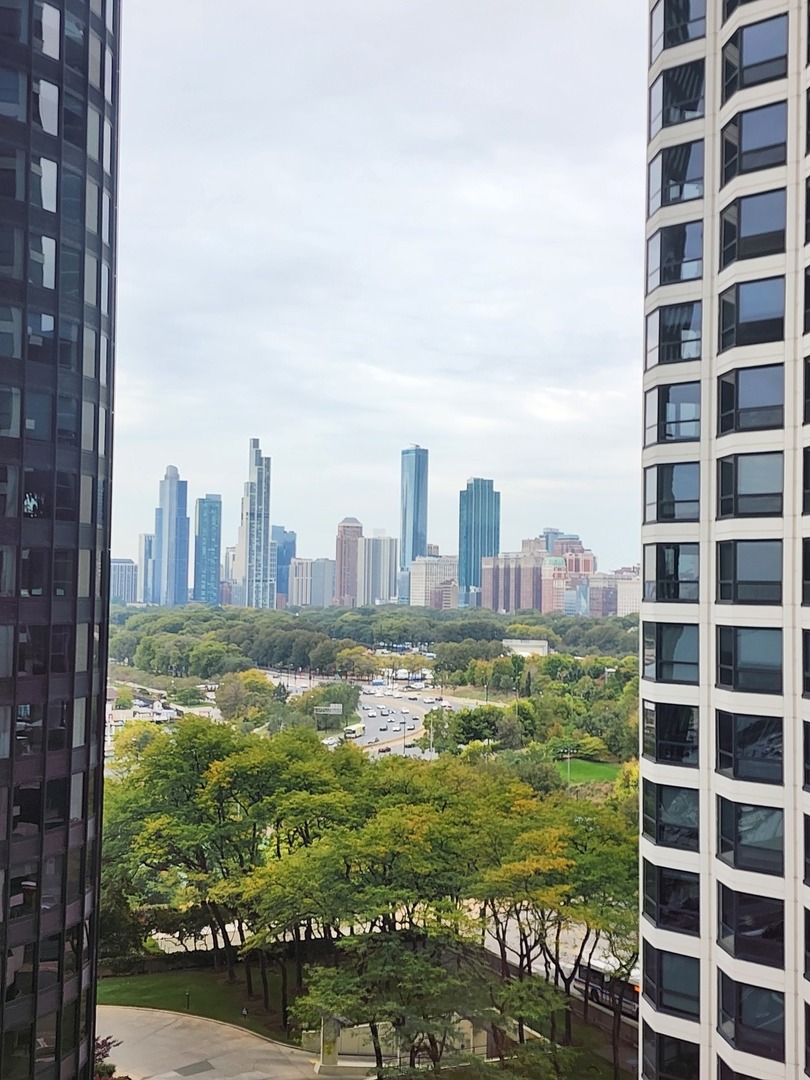 195 N Hbr Dr #1006 Chicago, IL 60601