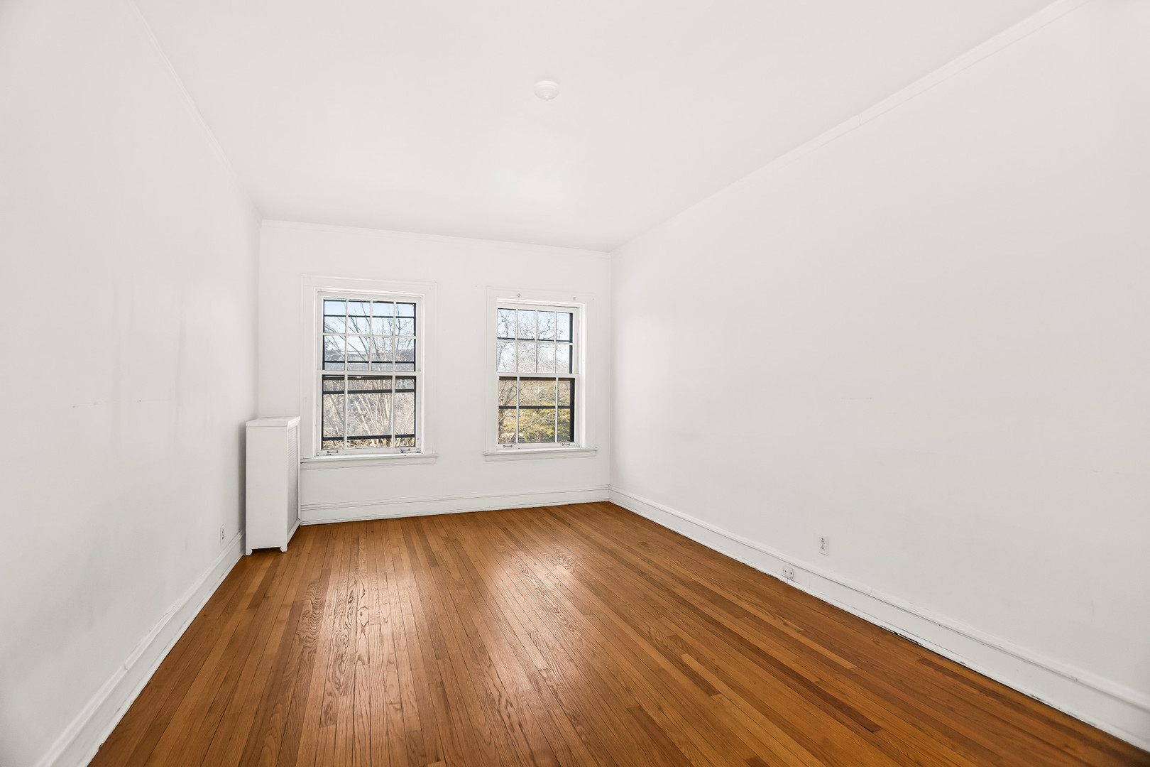 439 Rdg Ave #2 Evanston, IL 60202