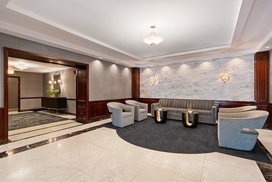 1313 N Ritchie Ct #2701 Chicago, IL 60610