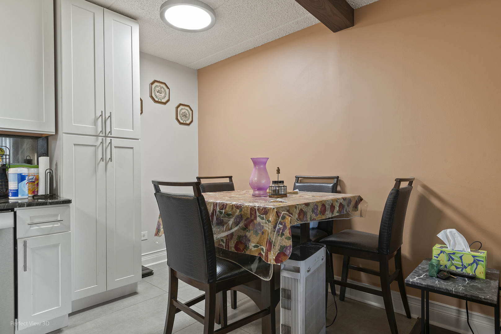 9701 N Dee Rd #5E Niles, IL 60714