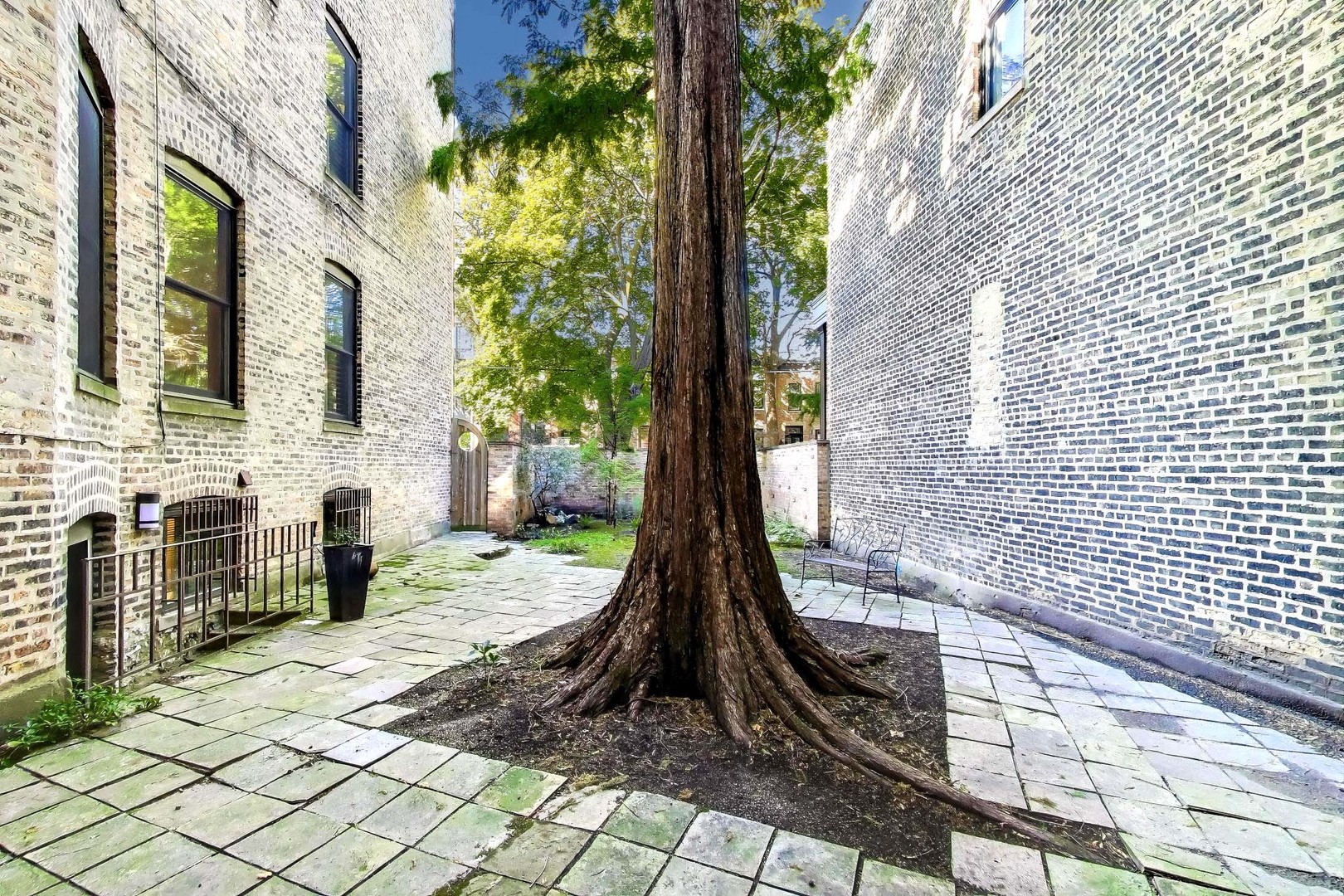 907-909 W Webster Ave Chicago, IL 60614