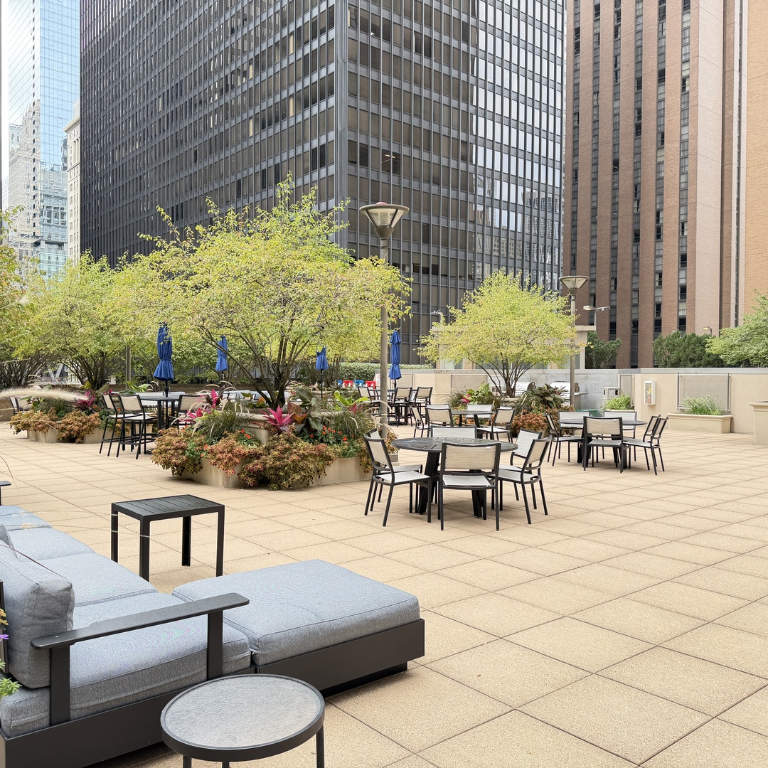 222 N Columbus Dr #4008 Chicago, IL 60601