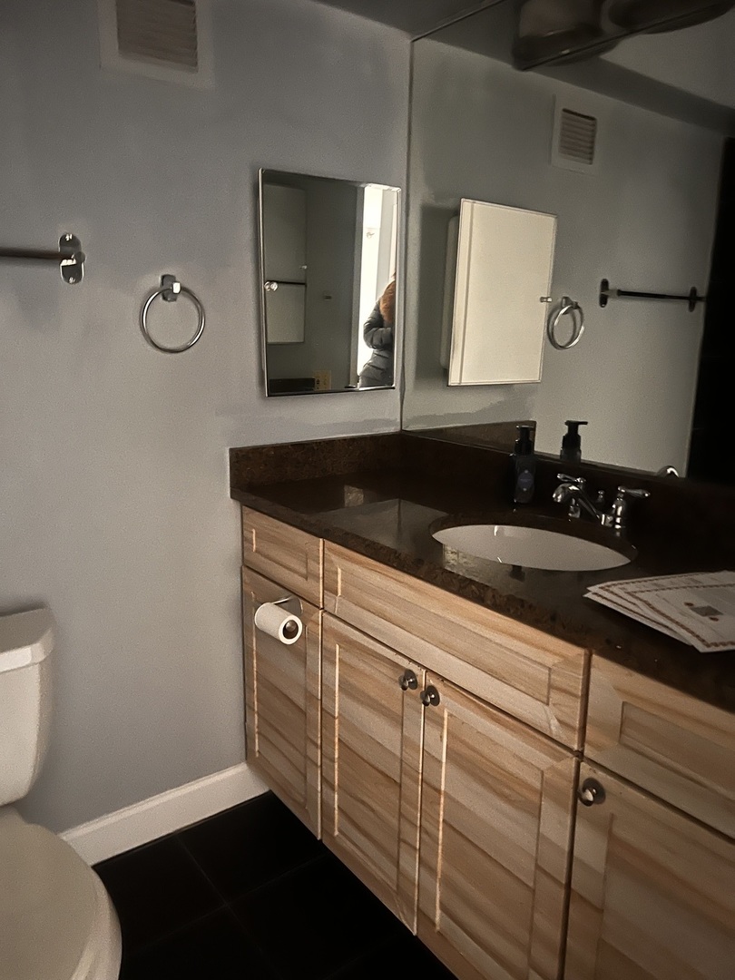 200 N Dearborn St #4408 Chicago, IL 60601