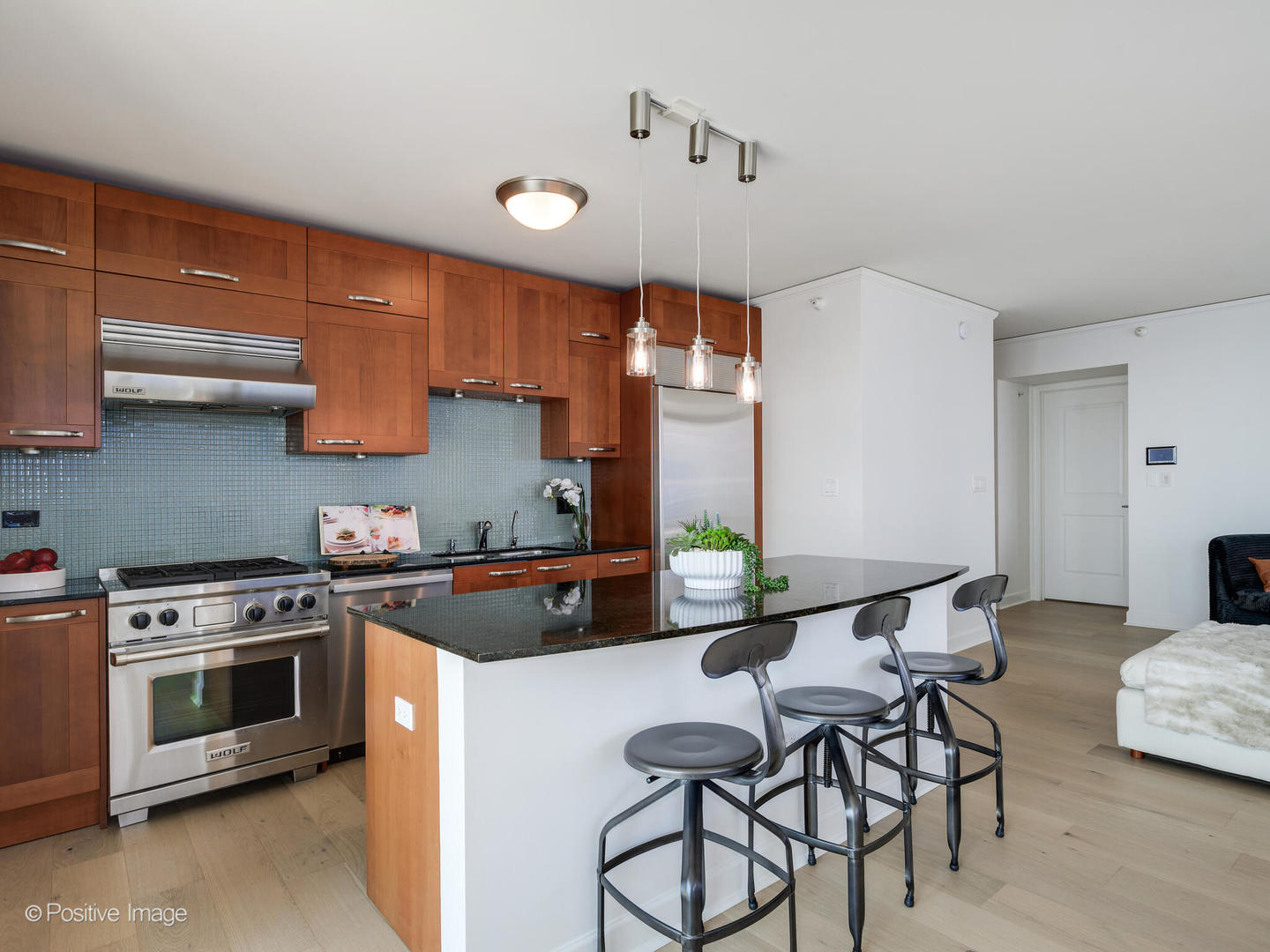 225 N Columbus Dr #6301 Chicago, IL 60601