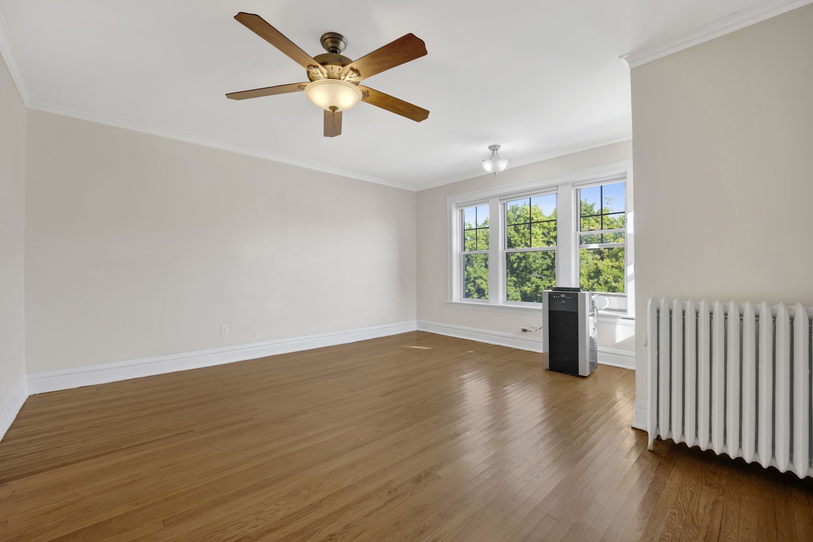 217 Chicago Ave #3 Oak Park, IL 60302