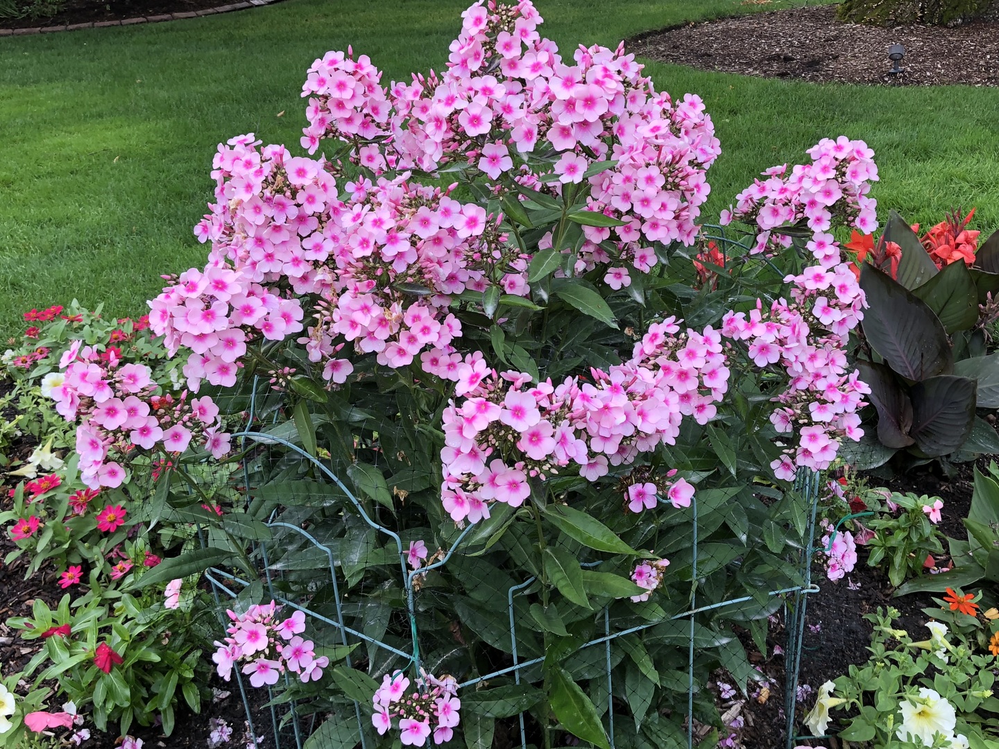 1133 Manor Dr Wilmette, IL 60091