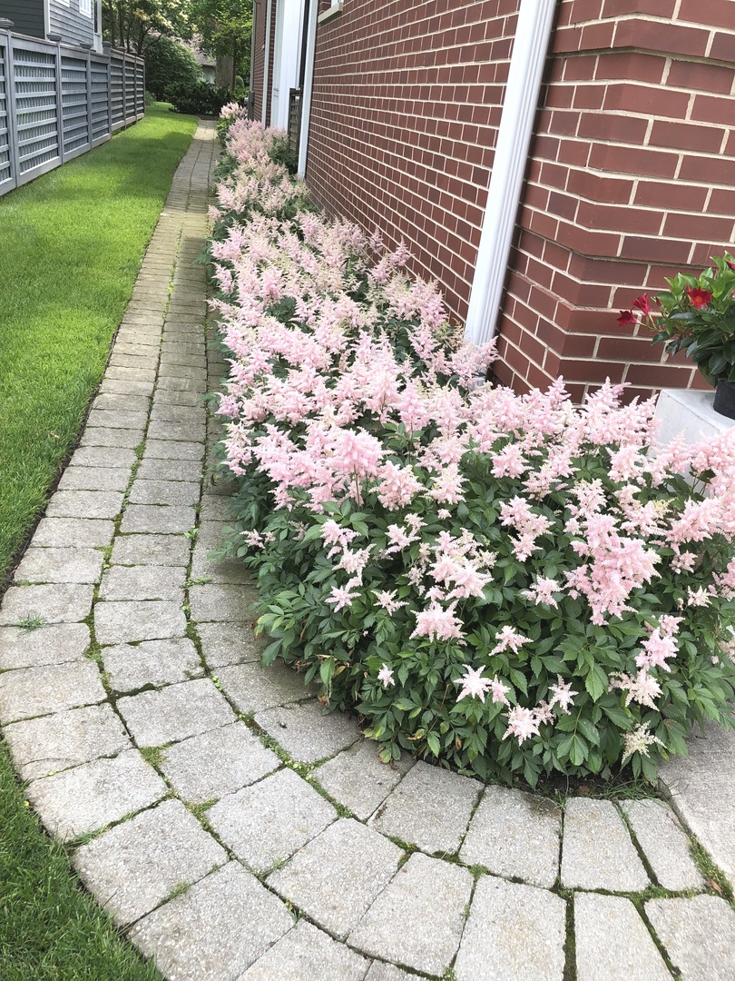 1133 Manor Dr Wilmette, IL 60091