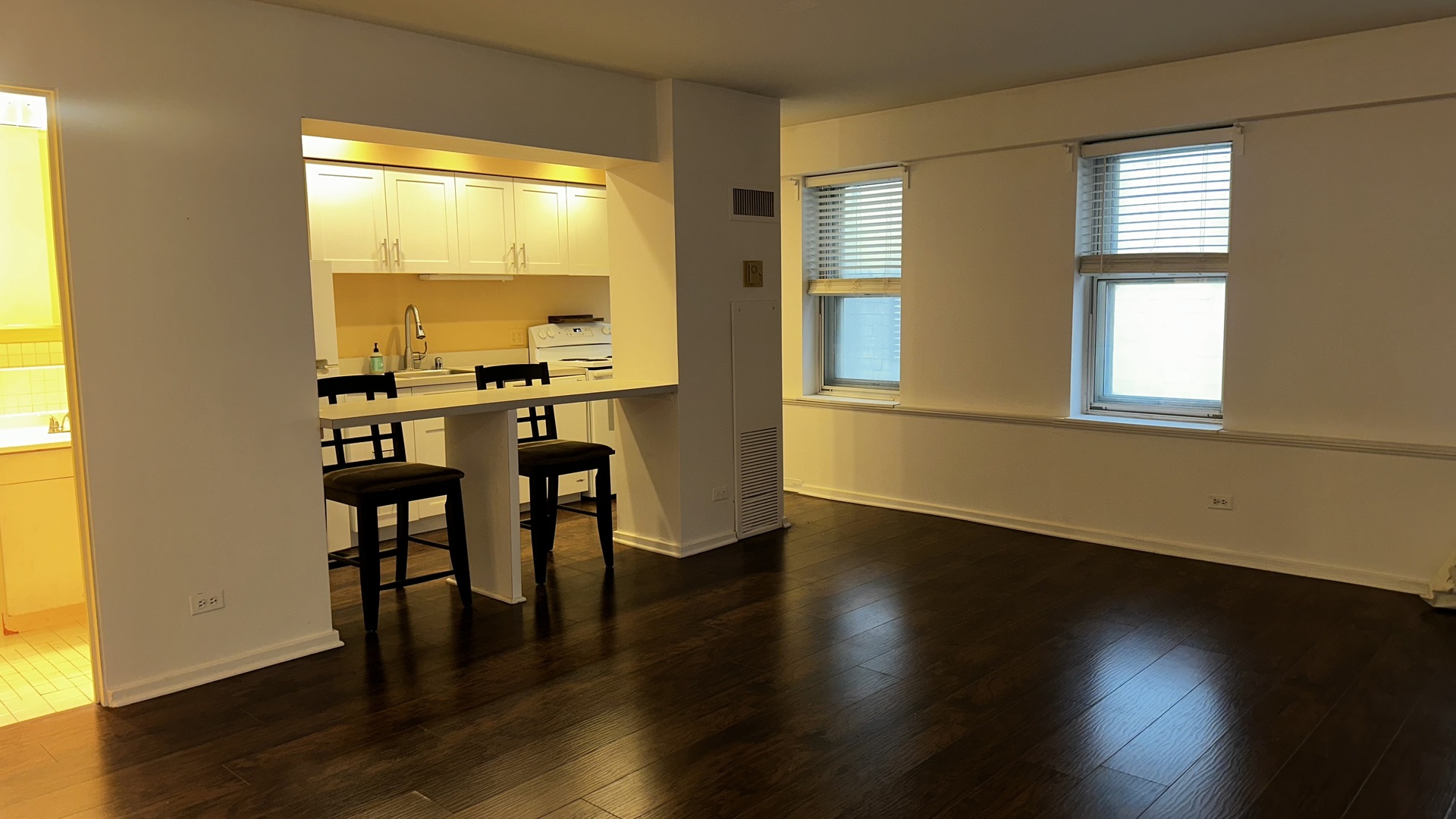 40 E 9th St #312 Chicago, IL 60605