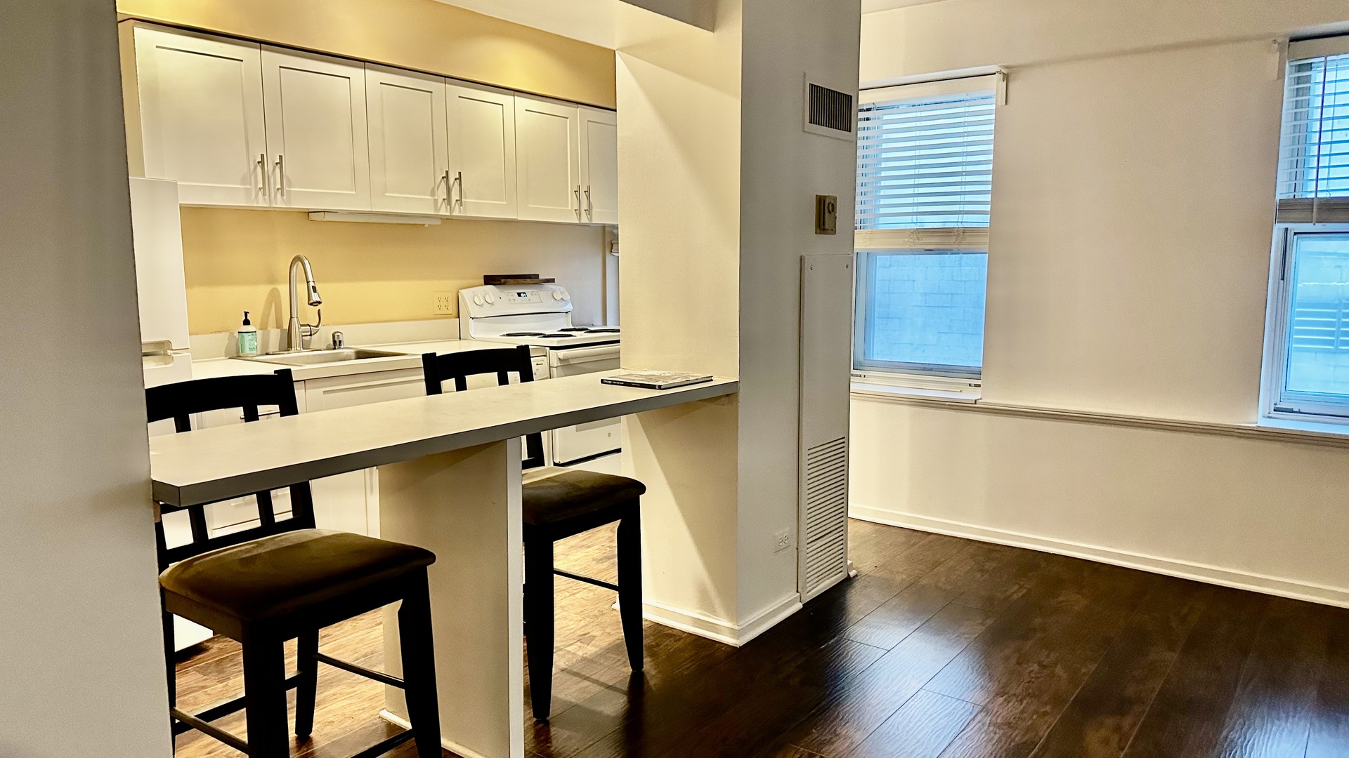 40 E 9th St #312 Chicago, IL 60605