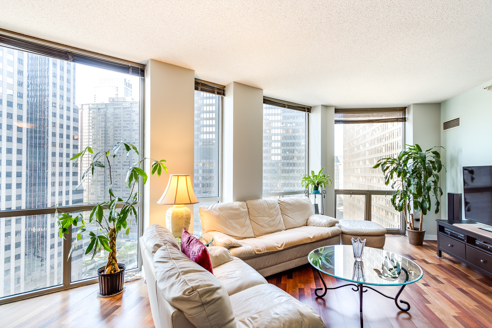 222 N COLUMBUS Dr #1602 Chicago, IL 60601