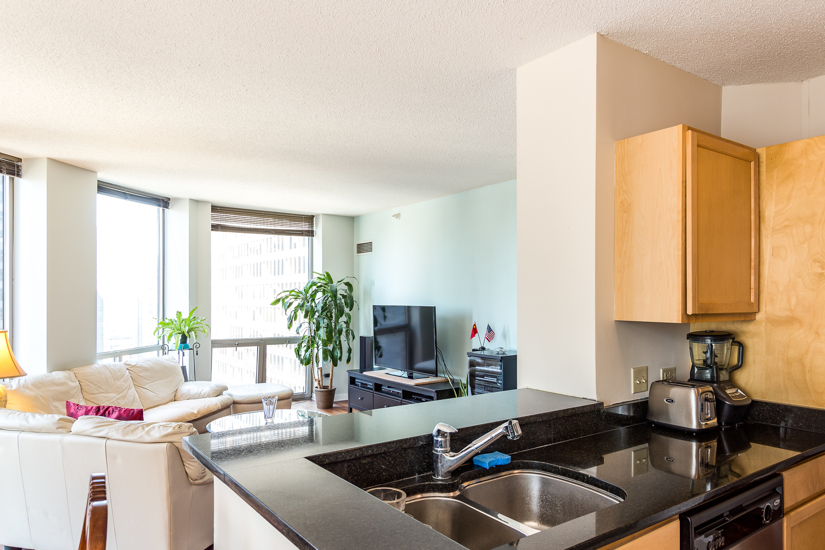 222 N COLUMBUS Dr #1602 Chicago, IL 60601