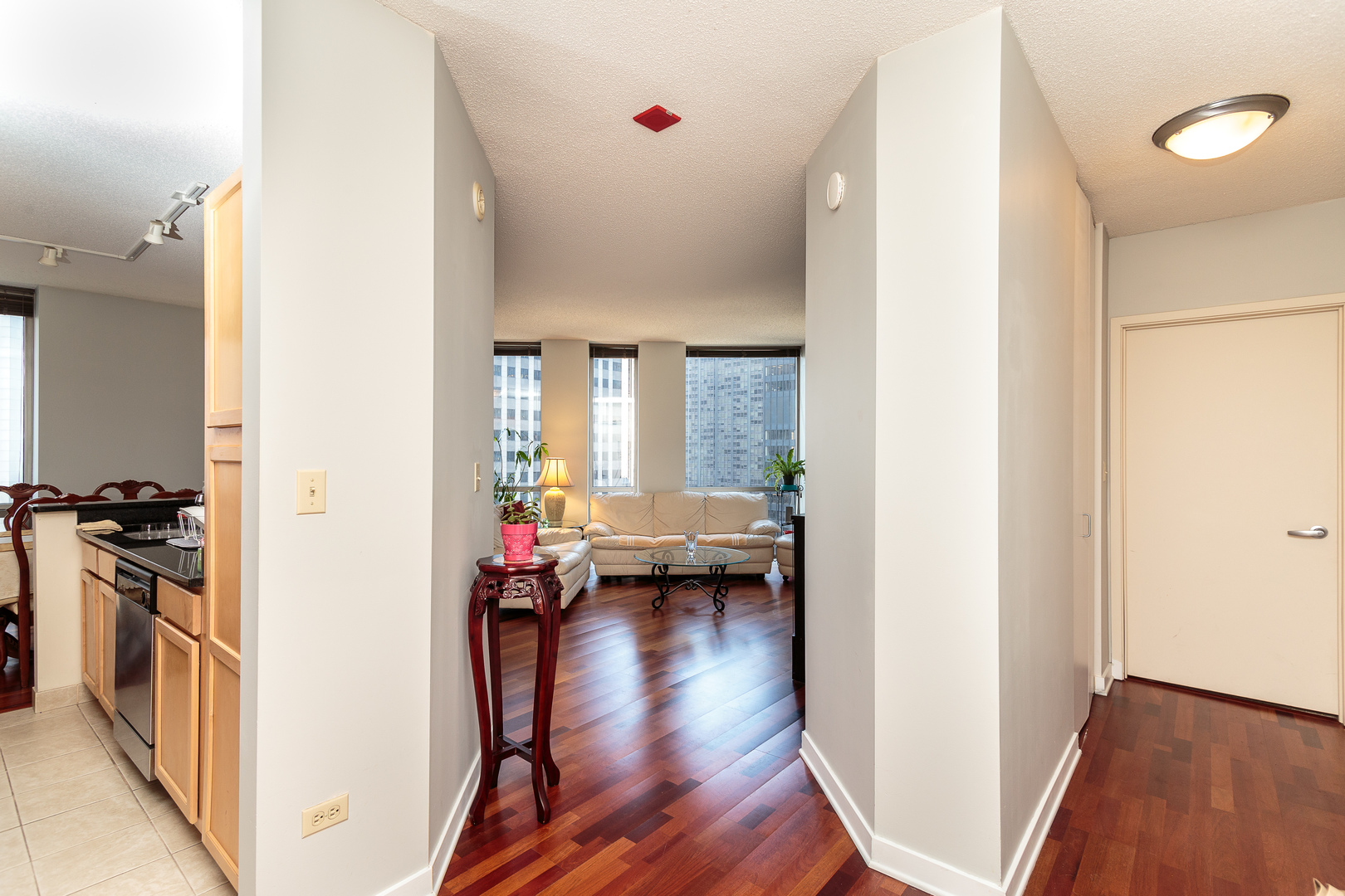 222 N COLUMBUS Dr #1602 Chicago, IL 60601