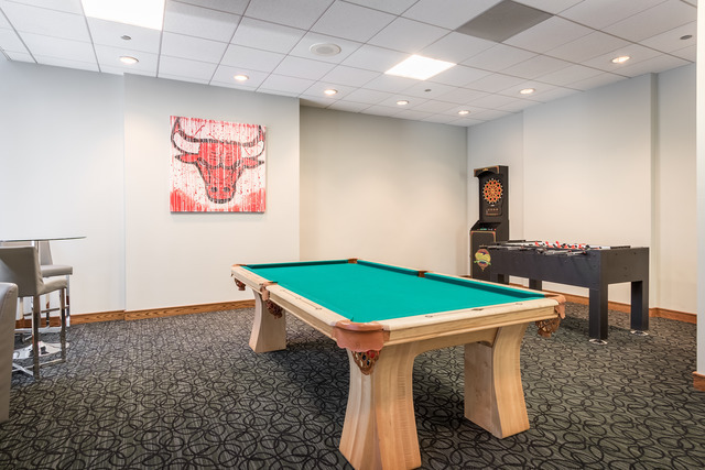 420 E Waterside Dr #503 Chicago, IL 60601