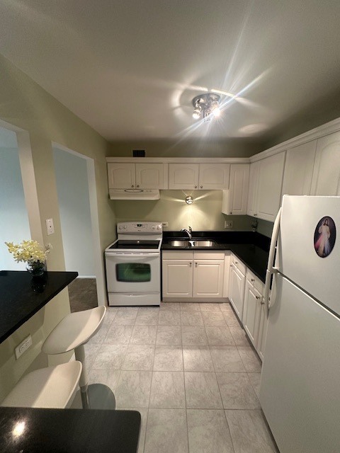 9098 W Ter Dr #3-I Niles, IL 60714